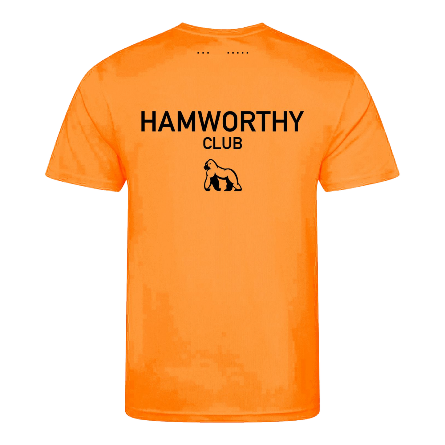 Hamworthy Squash Action T