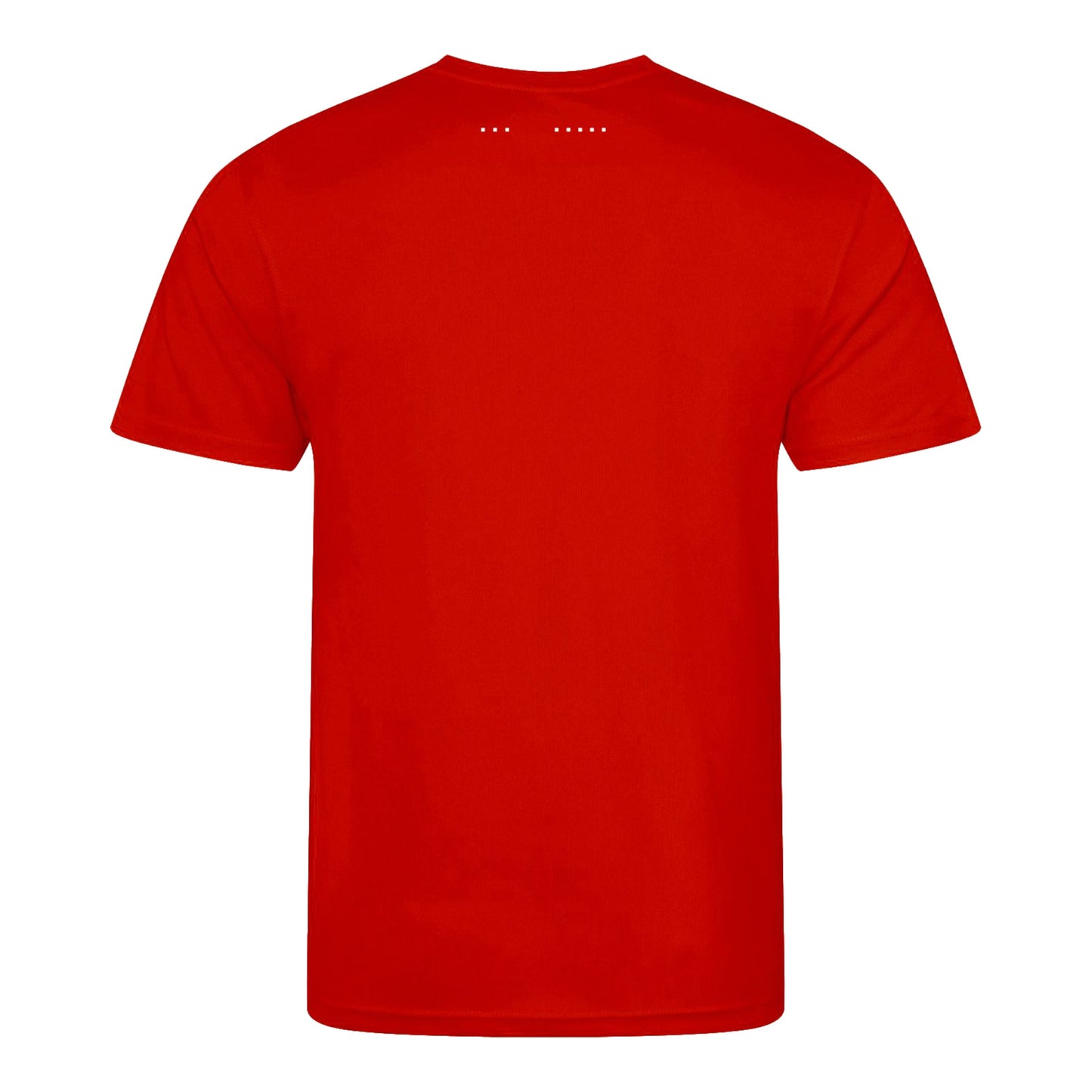 BTB Fitness Pro T