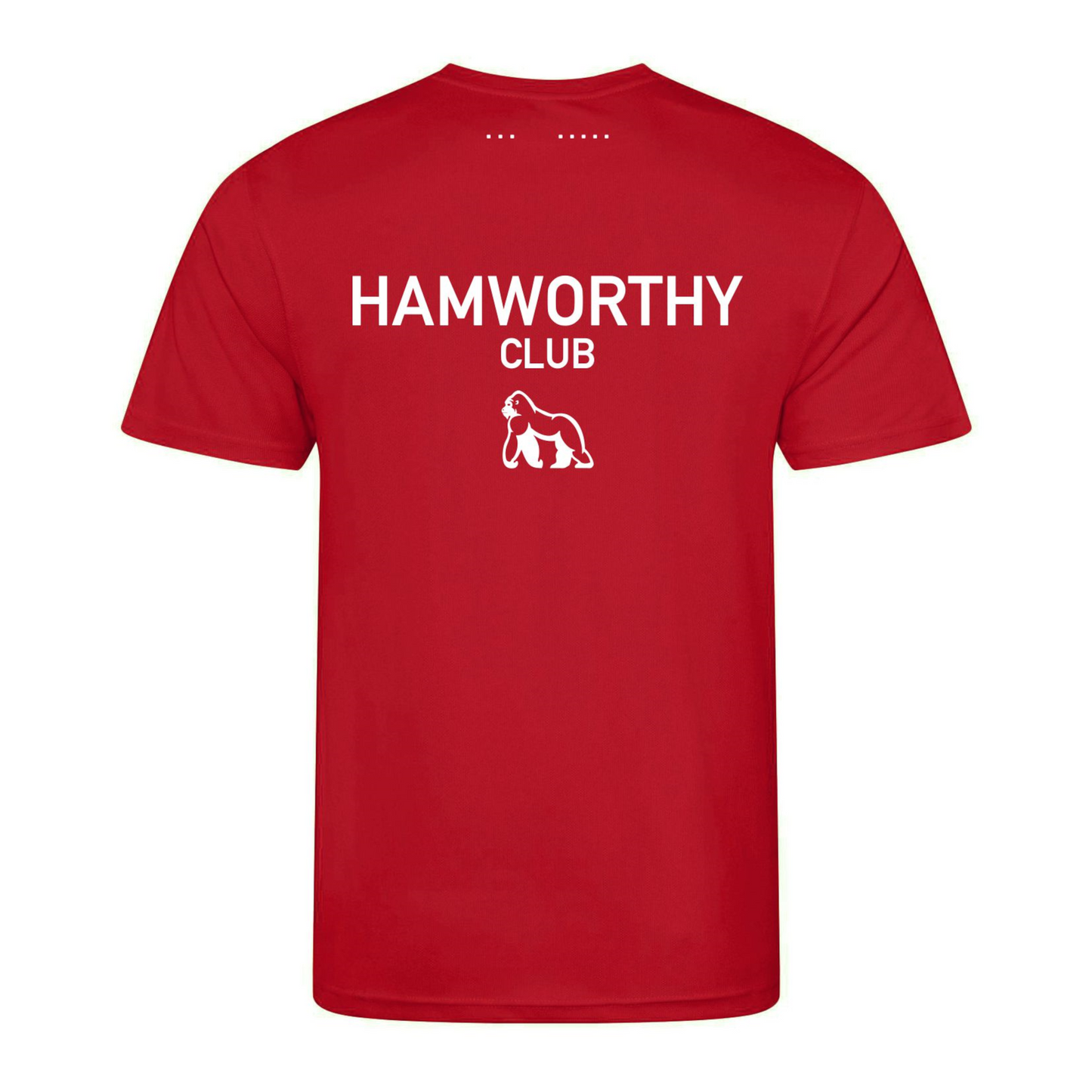 Hamworthy Squash Action T