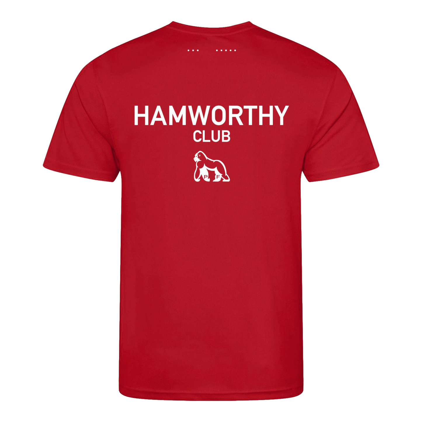 Hamworthy Squash Action T